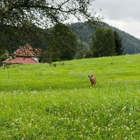 Anitas Landerlebnis Eggersriet
