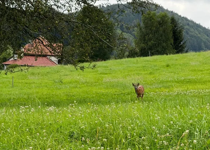 Anitas Landerlebnis Eggersriet